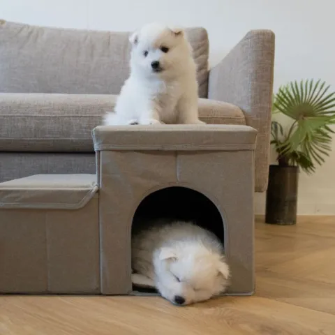 Doglemi Hundetrappe m. hule og små rum
